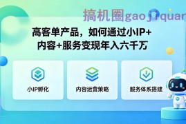 高客单产品，如何通过小IP 内容 服务变现年入六干W
