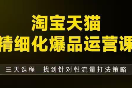 猫课子幽·淘宝天猫精细化爆品运营【音频 字幕 文档】(9月12-14杭州线下课)