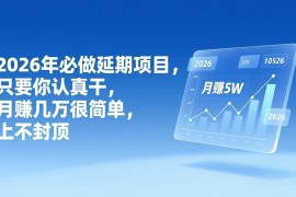 （17186期）2026年延期项目，只要你认真干，月赚几万很简单，上不封顶