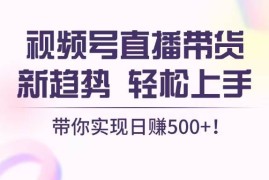 （13370期）视频号直播带货新趋势，轻松上手，带你实现日赚500 