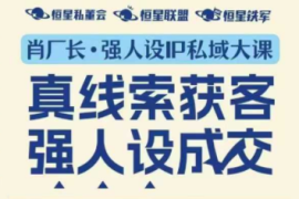 肖厂长·强人设IP私域大课11月深圳站大课(音频 字幕)
