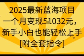 2025最新蓝海项目一个月变现1w 新手小白也能轻松上手【附全套指令】