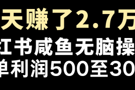 七天赚了2.7万！每单利润最少500 ，轻松月入5万 小白有手就行