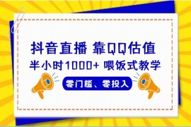 靠QQ估值 半小时1000 ，零门槛、零投入，喂饭式教学、小白首选！