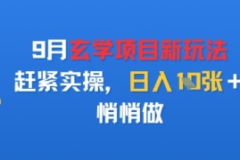 9月玄学项目新玩法，赶紧实操，日入多张，悄悄做