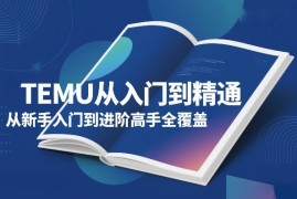 TEMU从入门到精通，从新手入门到进阶高手全覆盖