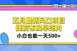 5月最新风口项目，提前布局早吃肉，小白也能一天暴利500 