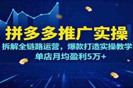 拼多多推广实操，拆解全链路运营，爆款打造实操教学，单店月均盈利5万 