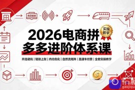 2026电商拼多多进阶体系课，开店避坑，链接上架，内功优化，自然流矩阵｜直通车付费｜全套实操教学