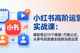 小红书高阶运营实战课：爆款笔记15个维度 万能公式，从养号到直播全链路深度运营