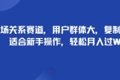 职场关系赛道，用户群体大，复制粘贴，适合新手操作，轻松月入过W