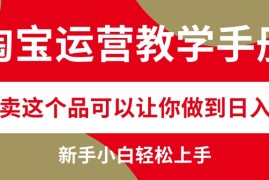（12351期）淘宝运营教学手册，在淘宝卖这个品可以让你做到日入2000 ，新手小白轻…