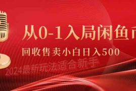 （9641期）从0-1入局闲鱼币回收售卖，当天收入500 