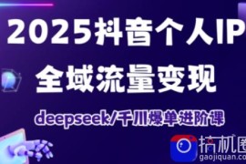 抖音个人IP全域流量变现进阶课，deepseek千川爆单进阶课(更新2026年05月)