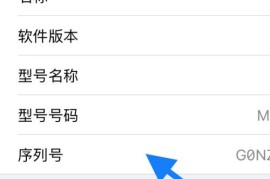 苹果查询序列号(苹果查询序列号官网)