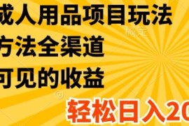 最新成人用品项目玩法，方式方法全渠道，轻松日入2K 【揭秘】