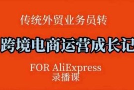 跨境电商速卖通运营课，运营方法论 后台实操，逻辑清晰