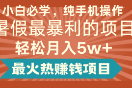 2024暑假最赚钱的项目，简单无脑操作，每单利润最少500 ，轻松月入5万 