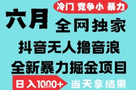 2025年6月高爆抖音无人直播最新撸音浪掘金项目，无脑日入1k ，低门槛小白可做，可矩阵放大【揭秘】