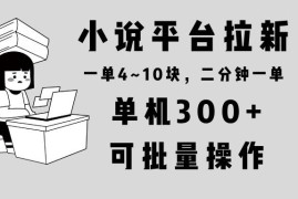 （13800期）小说平台拉新，单机300 ，两分钟一单4~10块，操作简单可批量。