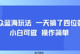 小众蓝海玩法 一天搞了四位数 小白可做 操作简单