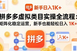（17927期）拼多多虚拟类目实操全流程：矩阵化稳定运营，新手也能轻松日入 1K 