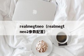 realmegtneo（realmegtneo2参数配置）