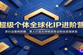 超级个体全球化IP进阶营：多行业案例拆解，素人打造全球精准商业粉丝变现体系
