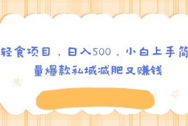 创意AI轻食项目，日入500，小白上手简单，批量爆款私域减肥又赚钱