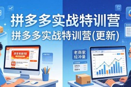 拼多多实战特训营(更新4月