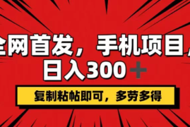 手机项目，日入300 ,复制粘贴即可，可矩阵操作，动手不动脑