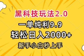 （13099期）黑科技玩法2.0，一单9.9，轻松日入2000 ，新手小白秒上手