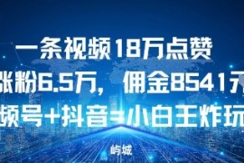 一条视频18W点赞涨粉6.5W，佣金8541视频号 抖音=小白王炸玩法