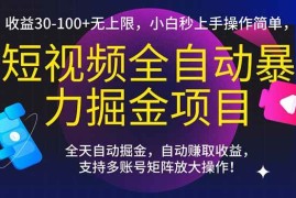（15035期）短视频全自动暴力掘金项目，收益30-100 无上限，小白秒上手，操作简单，..