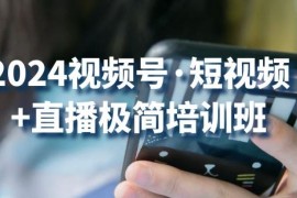 2024视频号·短视频 直播极简培训班：抓住视频号风口，流量红利