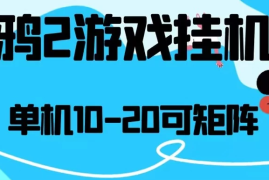 最新渡鸦2全自动挂机搬砖，无脑24小时单机日入80-150 
