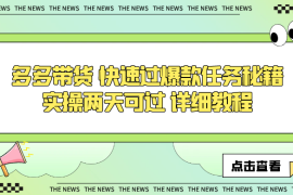 多多带货 快速过爆款任务秘籍 实操两天可过 详细教程