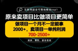一单利润700-2.5K ，为什么我们要卖项目而不是做项目，我们普通人应该怎样开始？【揭秘】