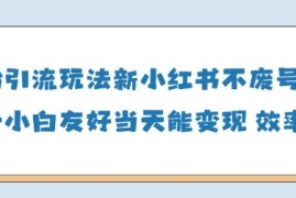 男粉引流玩法(新)，玩法友好做的好当天就能变现
