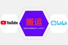 （13796期）纯搬运引流日进300粉，月入10w级教程