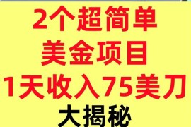 2个超简单美金项目，1天收入75美刀，3分钟学会，内部教程（大揭秘）