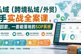 海外私域(跨境私域/外贸)操盘手实战全案课，从流量到回款，一套能落地的SOP系统