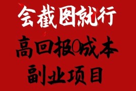 会截图就行，高回报0成本副业项目，卖离婚模板一天1.5k 【揭秘】