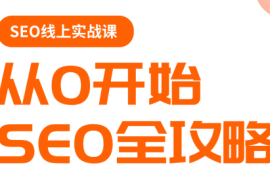 若凡老师·谷歌SEO实操课(更新)