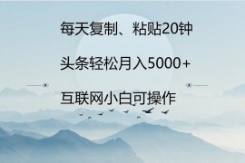 每天复制、粘贴20分钟 头条轻松月入5000   有手就可轻松操作