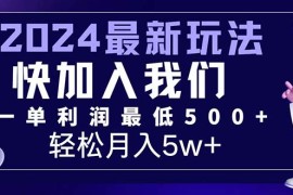 （12285期）三天赚1.6万！每单利润500 ，轻松月入7万 小白有手就行