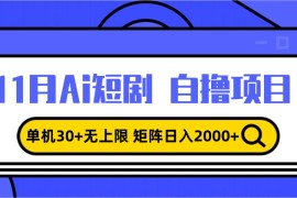 （13375期）11月ai短剧自撸，单机30 无上限，矩阵日入2000 ，小白轻松上手