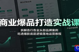 商业爆品打造实战课：拆解各行各业头部品牌案例，吃透爆款底层逻辑落地运营教程