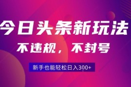 2025今日头条原创玩法5.0，不违规不封号，零门槛新手跟着做也能日入3张 