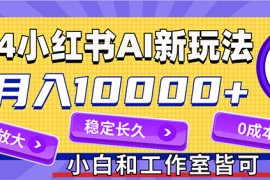 （12083期）2024最新小红薯AI赛道，蓝海项目，月入10000 ，0成本，当事业来做，可矩阵